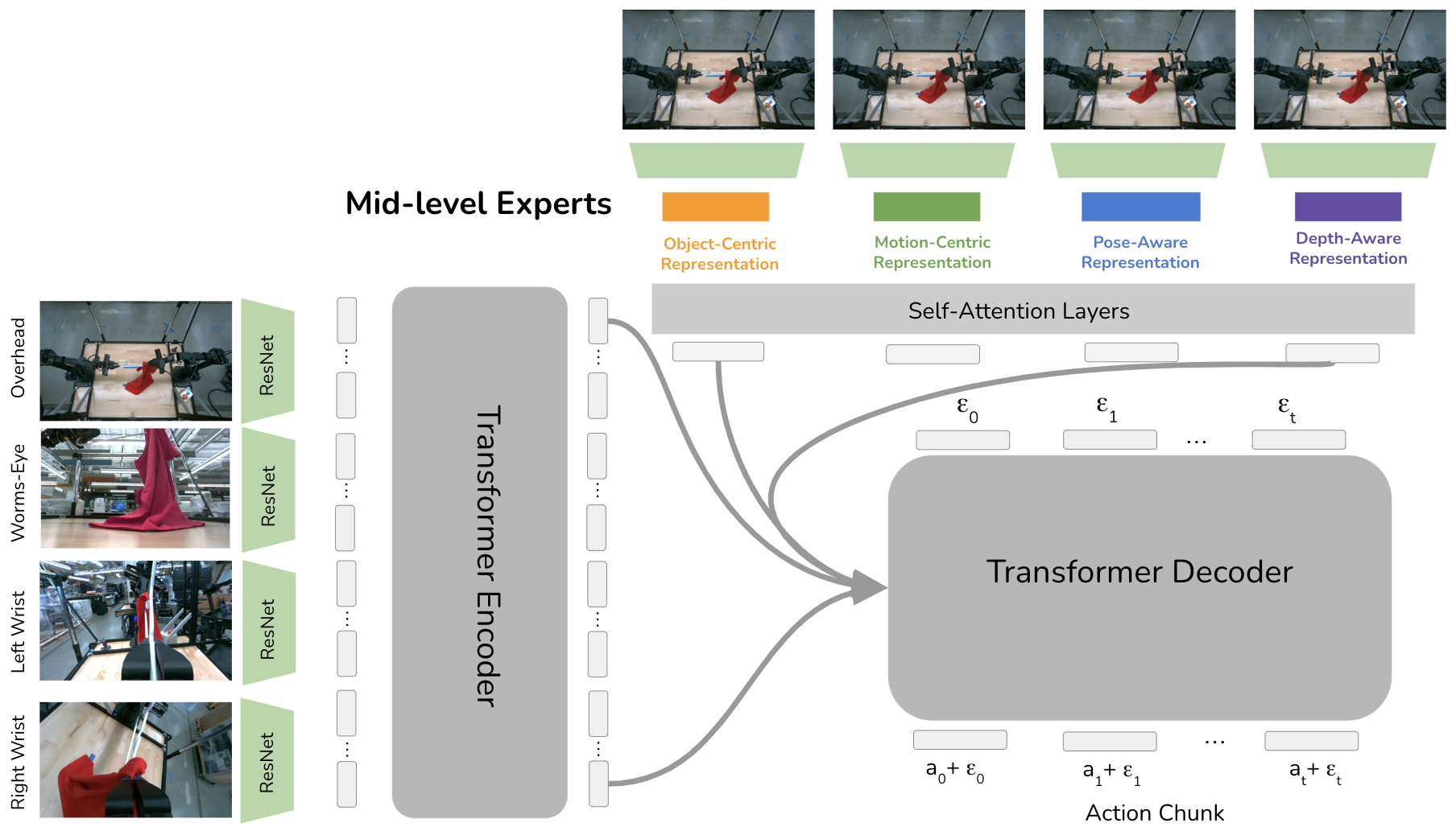 Mid-Level MoE Architecture